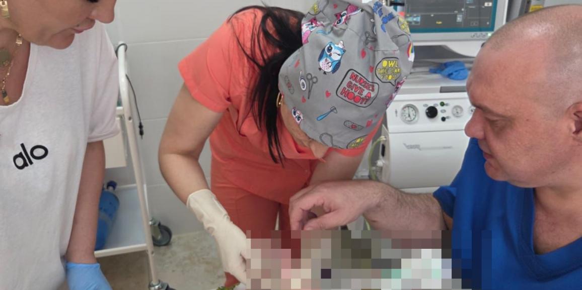 👶 В Южной Осетии внедрили новую методику для лечения новорожденных
